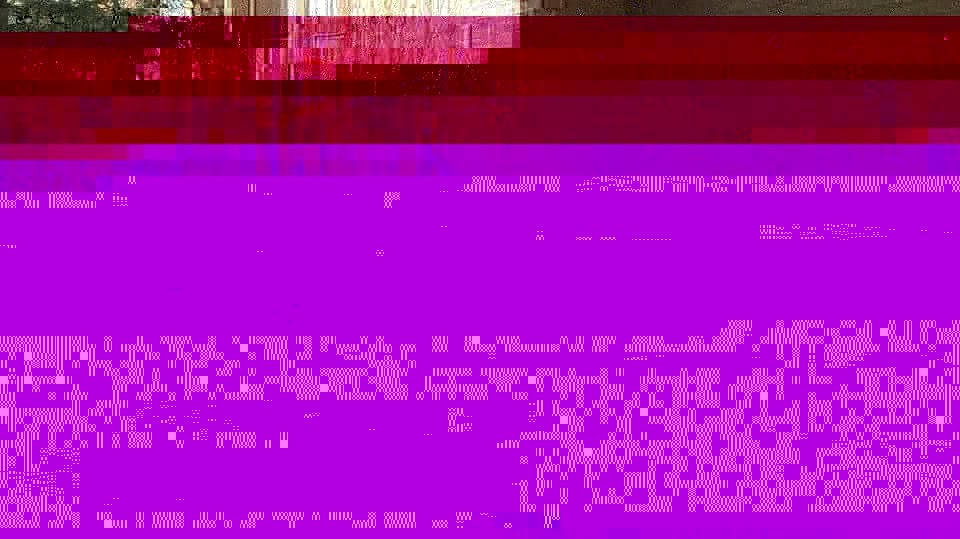 12310680_10207356707068432_5383574958186187768_n.jpg