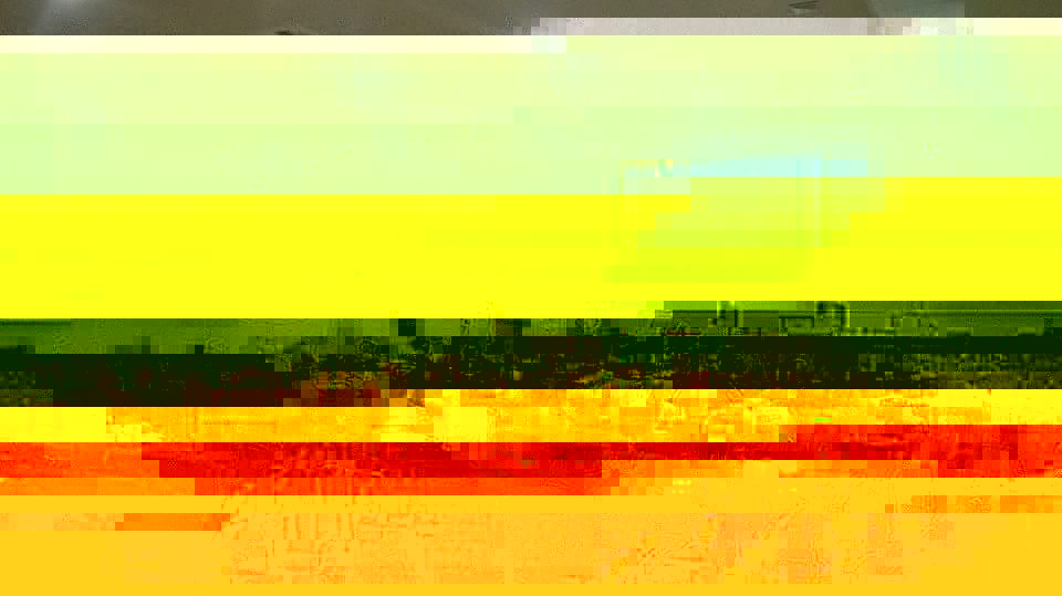 11169412_10205790713399569_4320599795439648554_n.jpg